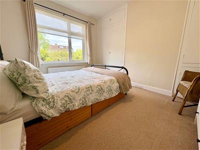 Picture 15